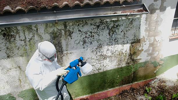 Top rated local Mold Removal specialists in Sandy Spring, MD
